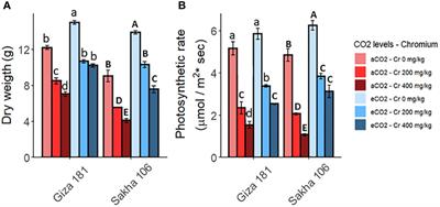 Frontiers The Impact Of Chromium Toxicity On The Yield And Quality Of   1019859 Thumb 400 